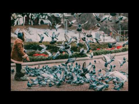 Misha Xramovi, Garr1, Dreamy Kid, Джордж Груз  (MaStreet)