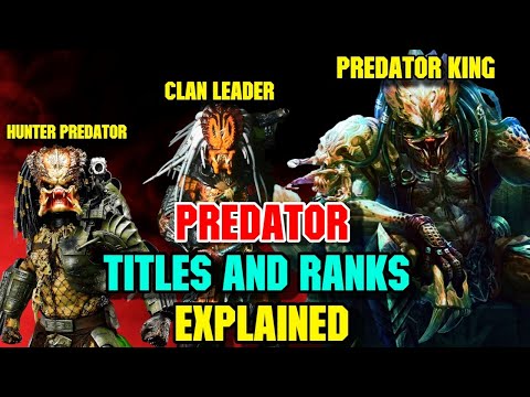 15 (Every) Predator Titles And Ranks - Explored In Detail