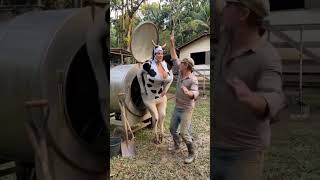 Download lagu hiburan warga 62 video lucu bikin ngakak tapi mau ketawa takut dosa #videolucu #comedy #shorts #meme mp3