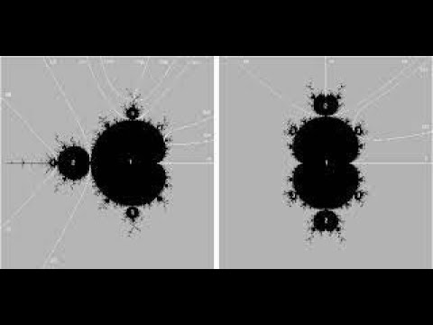 The André Oort Conjecture