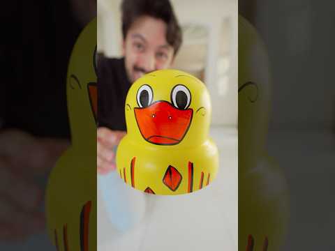 THERE ARE A LOT! 🐥😂