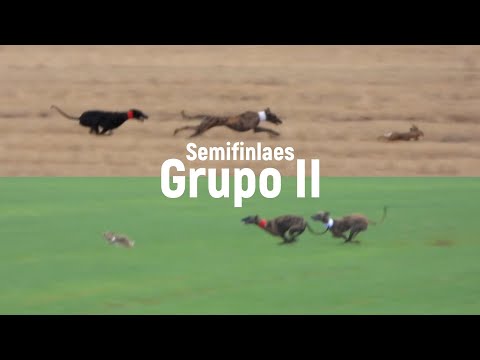 Semi-final stage of Group 2, Las Tramadas, December 2025