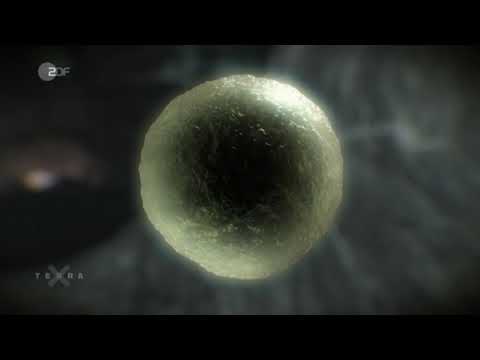 Die Entstehung des Lebens