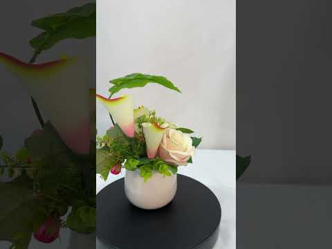 Gambar Forhom Bunga Artifisial Rose Cella Dengan Pot 21x20x19 cm Random