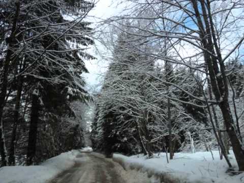 Cazare Valea Prahovei Cazare Azuga Vila Trifoiul Boutique Hotel