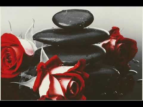 PESTEK X MSR - DAM CI