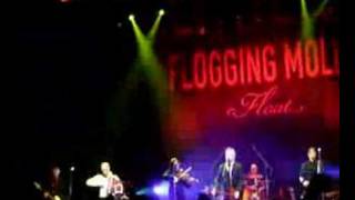 Flogging Molly- Selfish Man