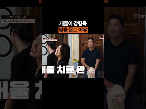 췌장염? 어쩌라고ㅋ #개늑시2 #개와늑대의시간2