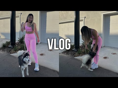 do i regret adopting my dog?