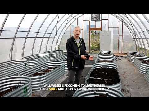 Reviving Ancient Soil Wisdom: Terra Preta and Indigenous Knowledge in Northern Ontario