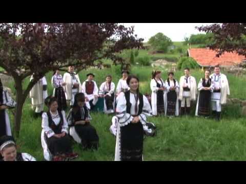 CRISTINA MARIA FARCAS - Prin iarba deasă și mare