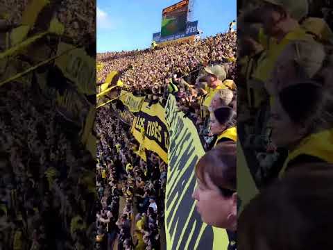 "Hinchada de Peñarol vs nacional" Barra: Barra Amsterdam • Club: Peñarol