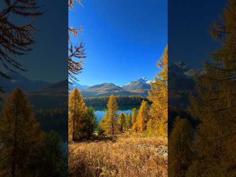 📍 Lake Sils, Switzerland 🇨🇭Follow for daily Swiss Content 🇨🇭