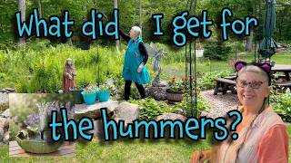 It's all about the HUMMINGBIRDS! What did I get? 10 ways to make your yard bird-friendly!