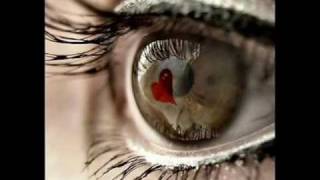 Dr. Sin - You stole my heart (Tradução)