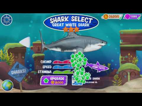 Shark Week: Shark Strike Video