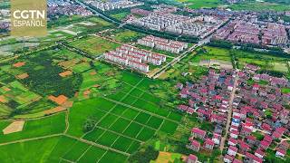 China registra crecimiento constante de consumo rural y de inversión agrícola en el primer semestre