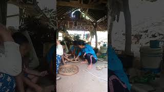 Download lagu kacang gude#shorts mp3