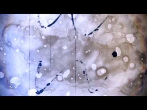 La Desgastada - Fantasma (Video Lyric)