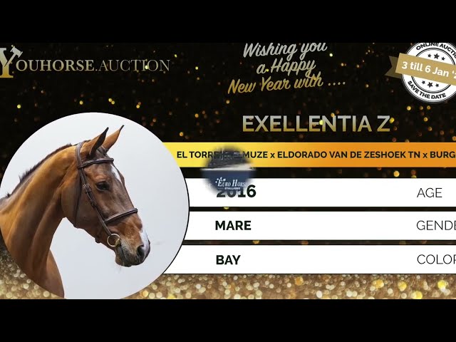 Exellentia Z showvideo