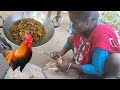 Desi Chikan Recipe Village Styl Cooking Murgi Recipe
