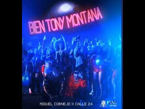 Bien Tony Montana -Calle 24 x Miguel Cornejo