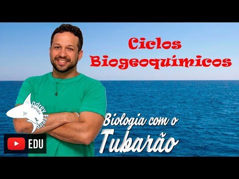 Ecology - Biogeochemical Cycles (water, nitrogen, carbon and oxygen)