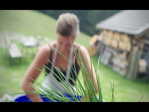 [HD] Up in the Sky - Drei Kinder auf der Alp (Doku)