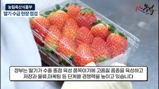 김현수 농식품부 장관, 충남 논산시 방문 딸기 수급 현장 점검