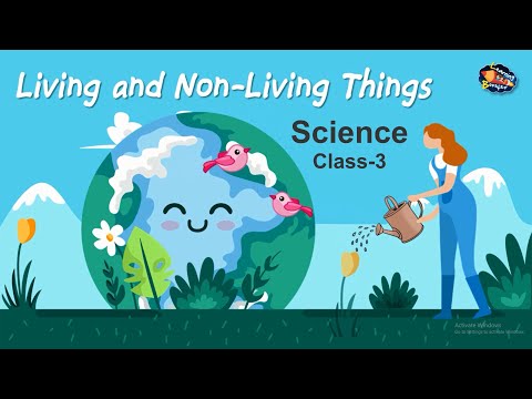 Living and Non-living Things | Class 3 Science | Science for Kids
