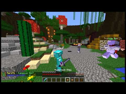 Report Z1ll0ut and maybe seranuka Hack - Minecraft