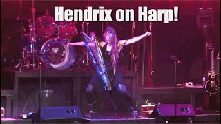 Hendrix on Harp - 