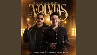 Soñé que volvías