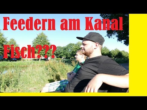 Wieder so viel Fisch? Feedern am Kanal|MadenBaden|Angeln|Niederlande Friedfisch