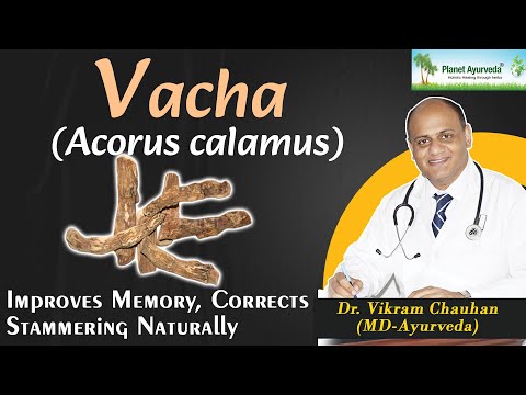 Vacha ( acorus calamus)- improves memory, corrects stammerin...