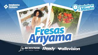 ARIYAMA STRAWBERRIES | GET TO KNOW IT IN ONE MINUTE 2026