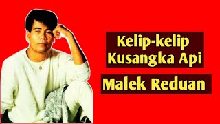 Download lagu Malek Reduan ~ Kelip-Kelip Ku Sangka Api mp3