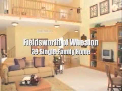 2013 Faganel History