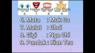 Download lagu Bahasa Hakka (Bahasa cina khek) belajar bahasa khek anggota tubuh #videopopuler #hakka #hakkastudies mp3