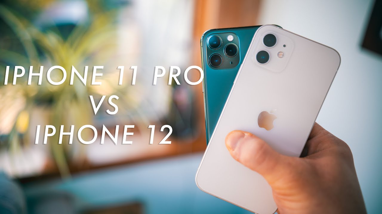 iPhone 11 Pro vs 12 Camera test! Is the iPhone 12 better?
