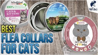 5 Best Flea Collars For Cats 2018