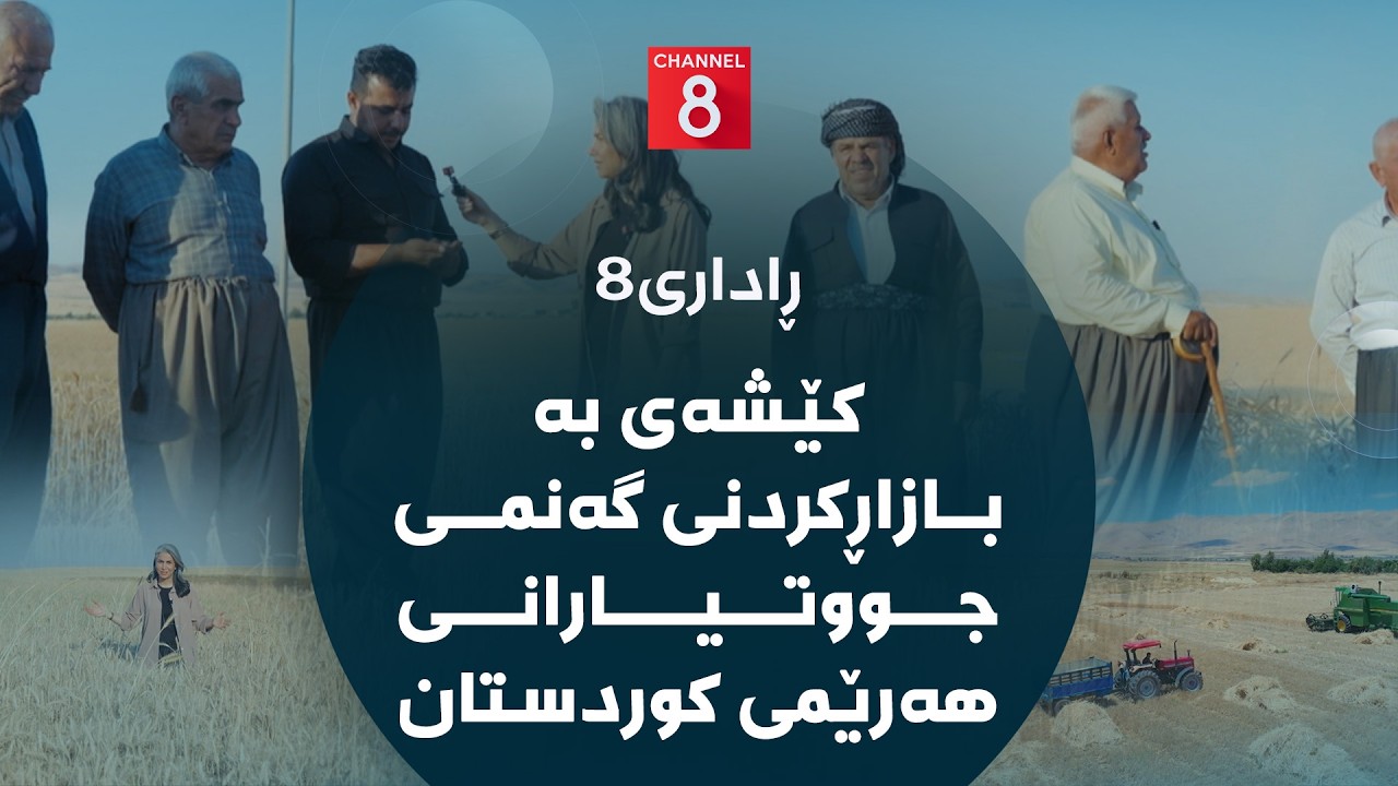 ڤیدیۆ | ڕاداری8 -  کێشەی بە بازاڕکردنی گەنمی جووتیارانی هەرێمی کوردستان