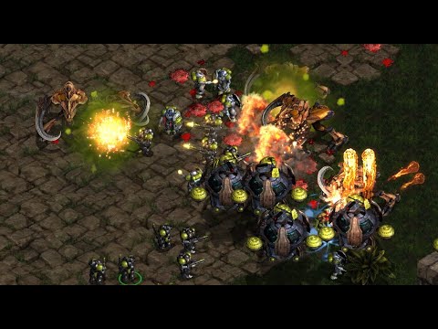 New Year's! DAY 67 FUSS! Sn0W! Nukes! Action! RoyaL! Beast! FFA!  - StarCraft - 2025