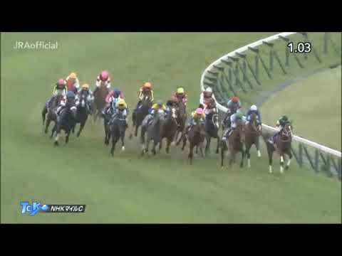 NHKマイルカップ2020