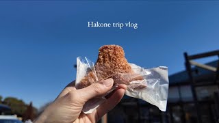 【箱根旅行vlog】2月の箱根に愛犬と温泉旅行