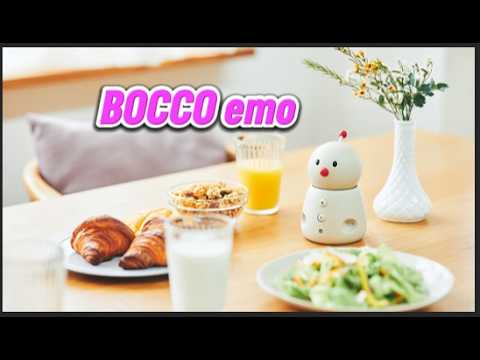 Bocco Emo Review Video 4