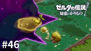 ゼルダの伝説 知恵のかりもの #46【おい馬鹿やめろーー！】