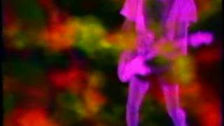 Silverhead - Grimskunk