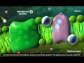 Photosynthesis Light Reaction Calvin Cycle Electron Transport 3D Animation