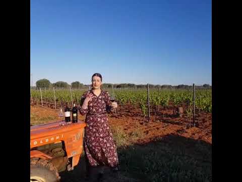 Le Donne del Vino Puglia Stefania Carlucci, sommelier AIS #unraccontopervoi